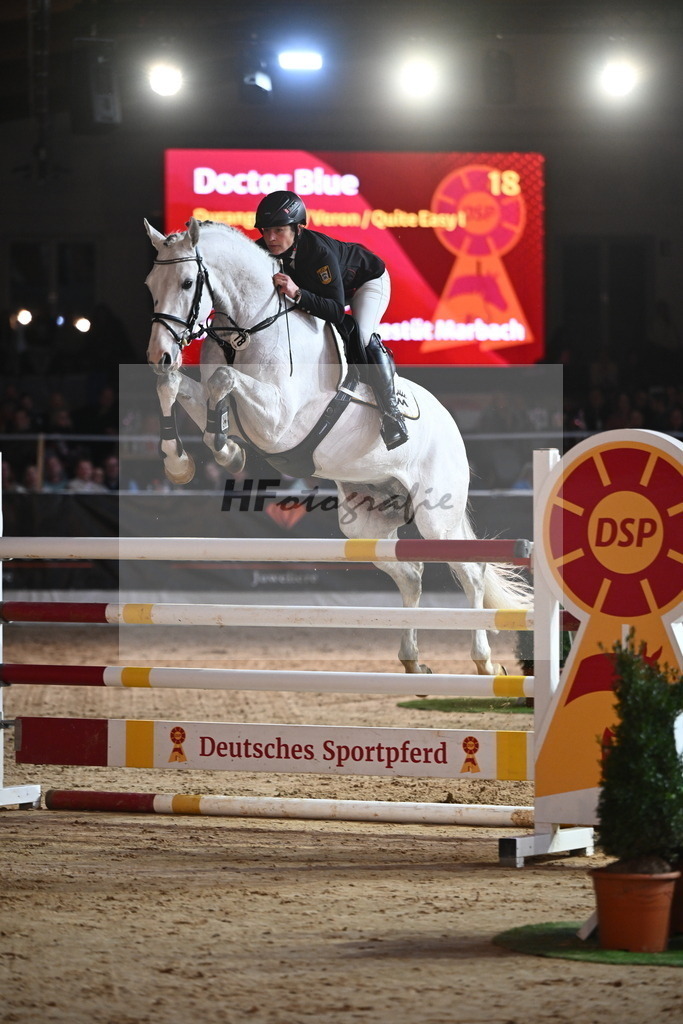 Doctor Blue_2241982 | hf-fotografie - Realisiert mit Pictrs.com