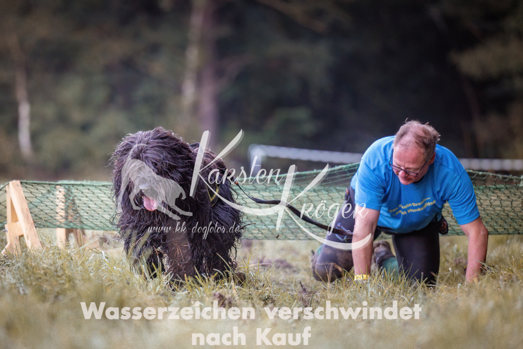 0815_ZZ90073-Bearbeitet | kk-dogfotos