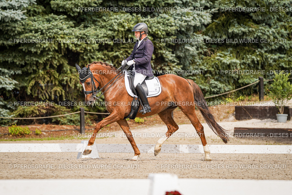 DSC05714 | Pferdegrafie