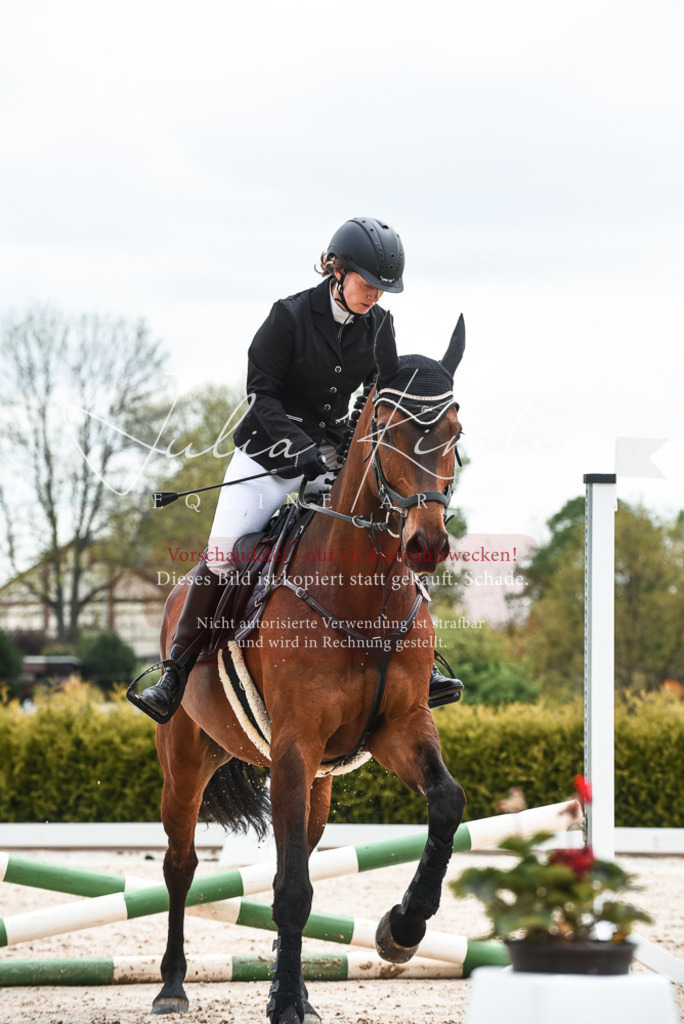 20230518_JK-Röhrsdorf-10-334 | Pferde- und Turnierfotografie in Westsachsen. Pferdeportraits, Auftragszeichnungen und intuitive Kunst.