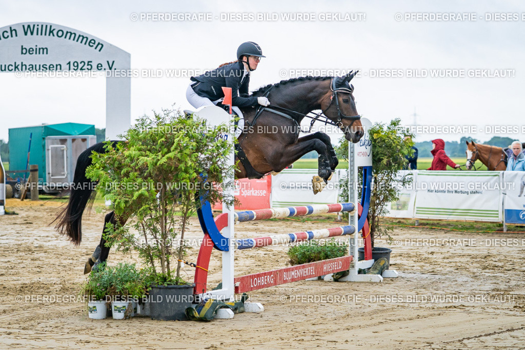 DSC02305 | Pferdegrafie