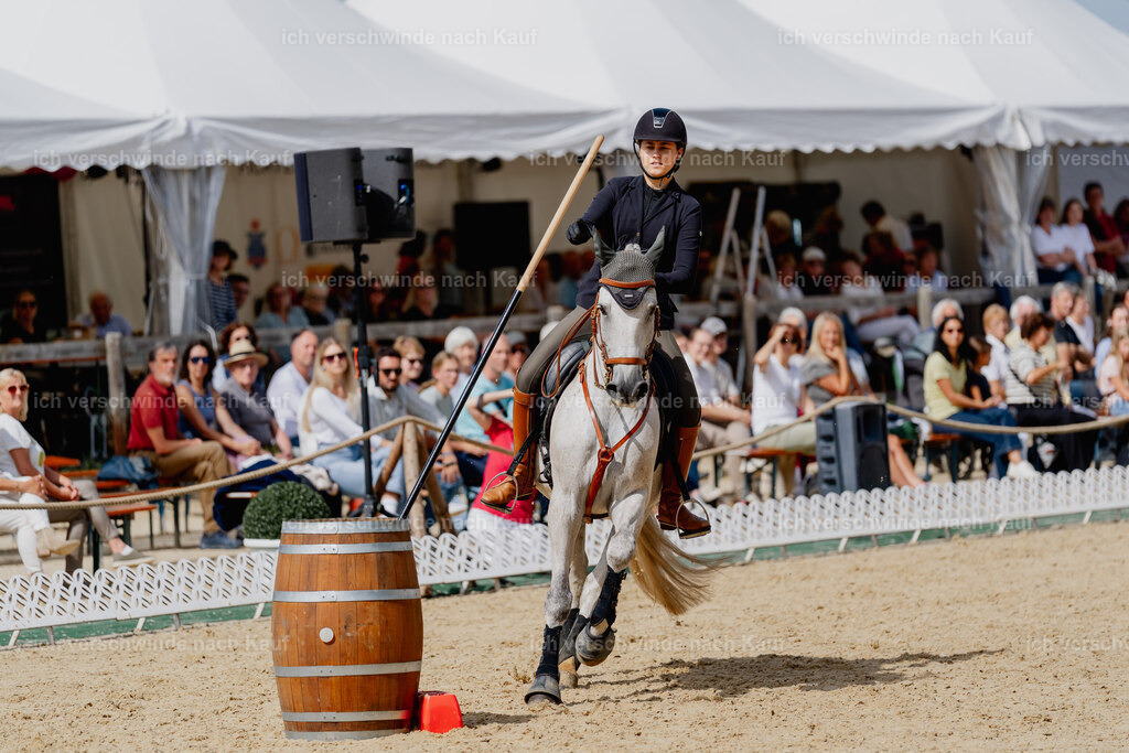 Svea13FHC2025-2829 | working equitationturnier fotograf videograf stoibphotography marixx film working equitation deutschland reitsport turnierfotografie eventfotografie equestrian events