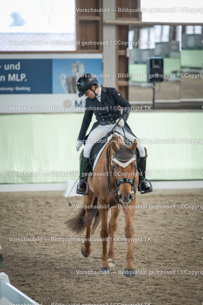 _D5A6533 | Emotionale Pferde- & People-Fotografie rund um Heidelberg, Leimen & Umgebung. Natürliche Fotos von Pferd, Mensch & Familie. Jetzt Termin sichern!