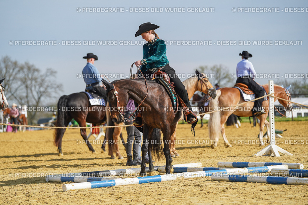 DSC00964 | Pferdegrafie