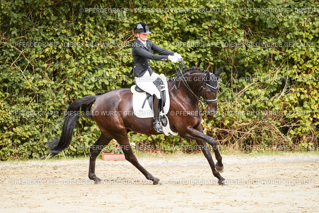 DSC02321 | Pferdegrafie