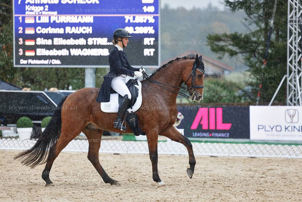 8_2-149-DRESSUR S_  -StoibPH-4477 | working equitationturnier fotograf videograf stoibphotography marixx film working equitation deutschland reitsport turnierfotografie eventfotografie equestrian events