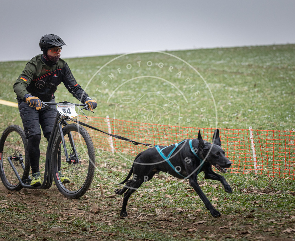 Pfotenfotografie_DV3A1154 | Hundefotografie, Tierfotograf, Pfotenfotografie, Fotoshooting Hund, Hunde Portrait, Hundesport, Hundeportraits, Heideshooting, Hunde, Sportfotograf, Hundefotograf, Turnierhundsport, THS,  - Realisiert mit Pictrs.com