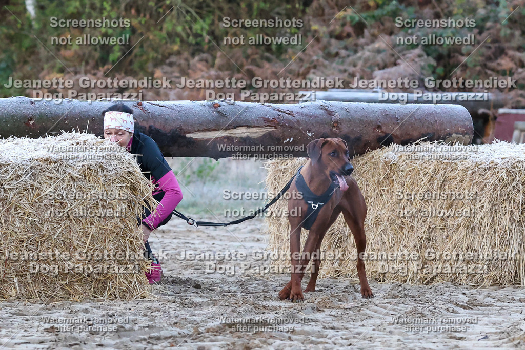 Dog Paparazzi - Strongdog 10-25-26 | Dog Paparazzi Jeanette Grottendiek Fotografie & Videografie - Realisiert mit Pictrs.com