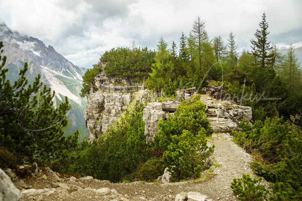 _DSC4901 | Baumgartner Markus Fotografie