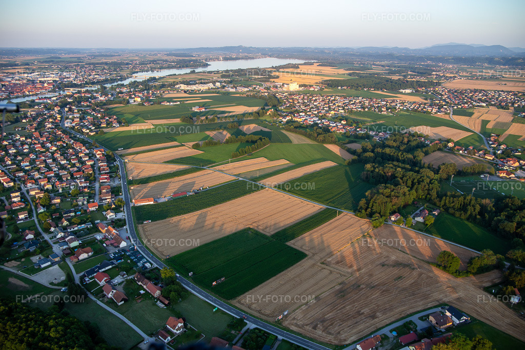 Aerial view: View of the town in the district Spodnja Hajdina in Hajdina in the state Slovenia, Slovenia. – Photo: IMG_137423.jpg taken on 07/08/2023 by Werner Riehm/FLY-FOTO.com – Resolution of the original: 5472 x 3648 px