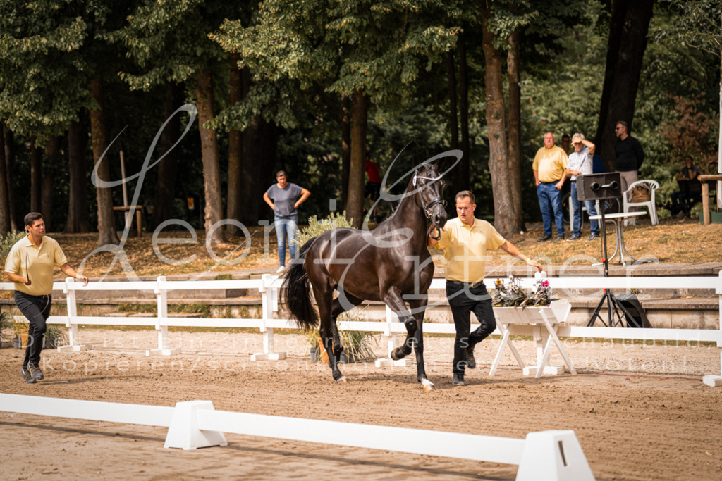 4.Fr00129 | Leoni Ertmer Photography - Realisiert mit Pictrs.com