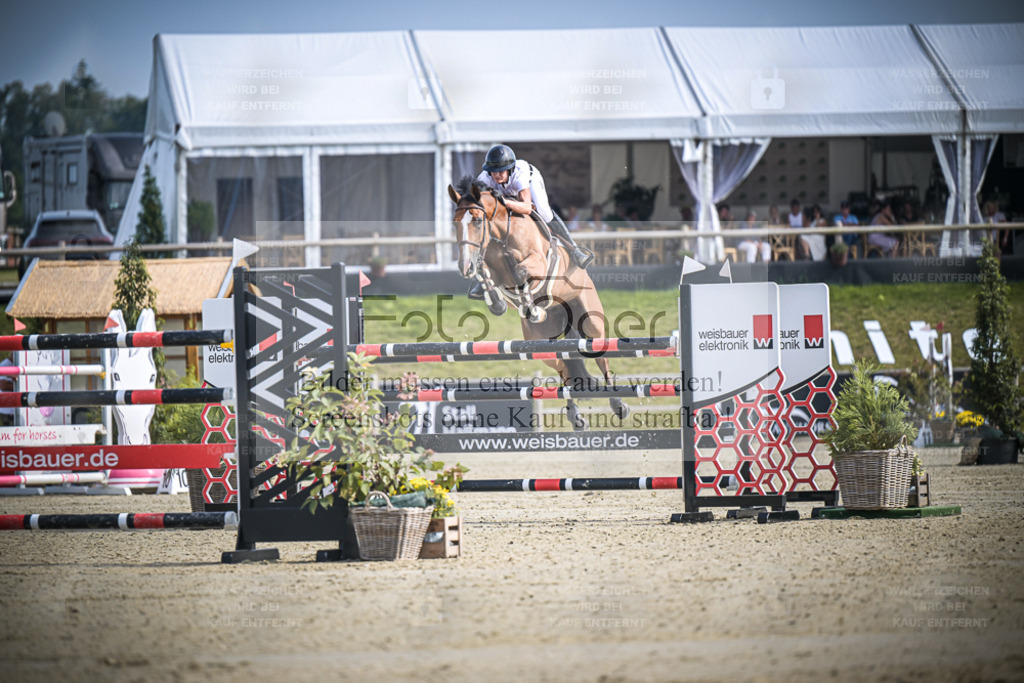 DOS_0020 | Entdecke hochwertige Reitturnierfotos von Foto Oger. Professionell, emotional und authentisch – jetzt Lieblingsmomente im Shop bestellen. - Realisiert mit Pictrs.com