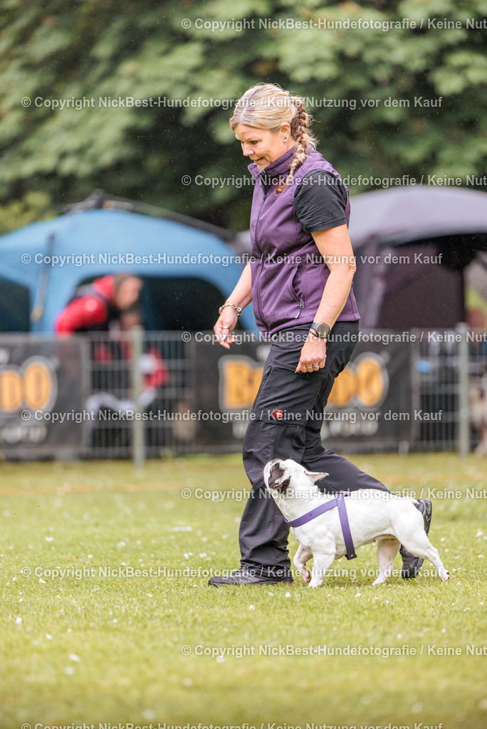 RO-Blumenthal-2026-Nickbest-Hundefotografie-0051 | Dein Hund! Dein Moment! Deine Erinnerungen! Hundefotografie in Bremen Blumenthal. Ich fange die besonderen Momente deines Vierbeiners ein – ob Indoor mit Blitzanlage oder in der freien Natur. Sicher dir dein Moment und dein Termin für eure Erinnerungen.