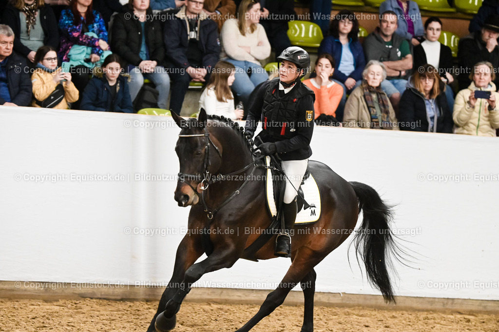 20260307_Hengstvorstellung-Marbach_0444 | equistock