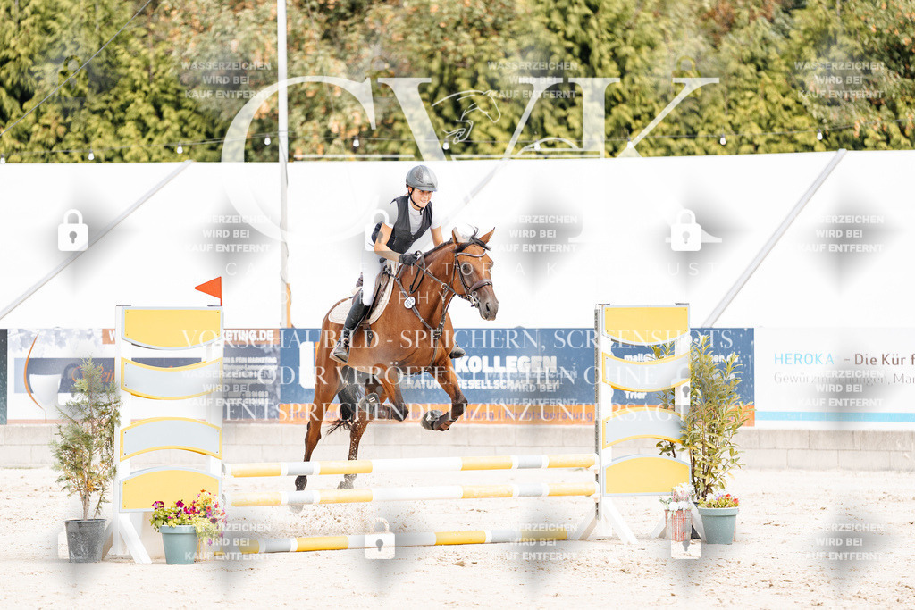 CK906578 | Turnierfotografie Pferdefotografie Trier Rheinland-Pfalz Pferdesport Reitsport Tierfotografie Sportfotografie Pferdevideo Pferdevideografie Equestrianvideography equestrianphotography  - Realisiert mit Pictrs.com