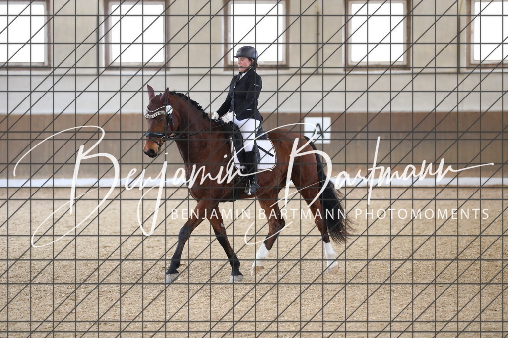 AZ2A0508 | Benjamin Bartmann Photomoments