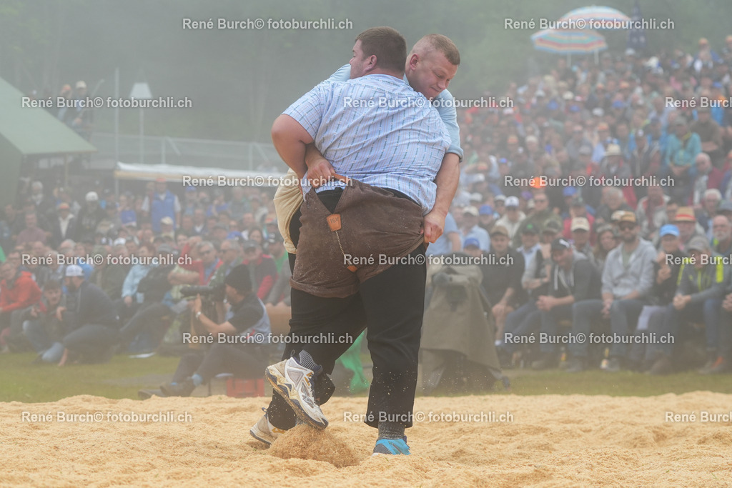 RB-05291 | René Burch leidenschaftlicher Fotograf aus Kerns in Obwalden.  Hier finden sie Sport, Landschaft und Natur Fotografie.
 - Realisiert mit Pictrs.com