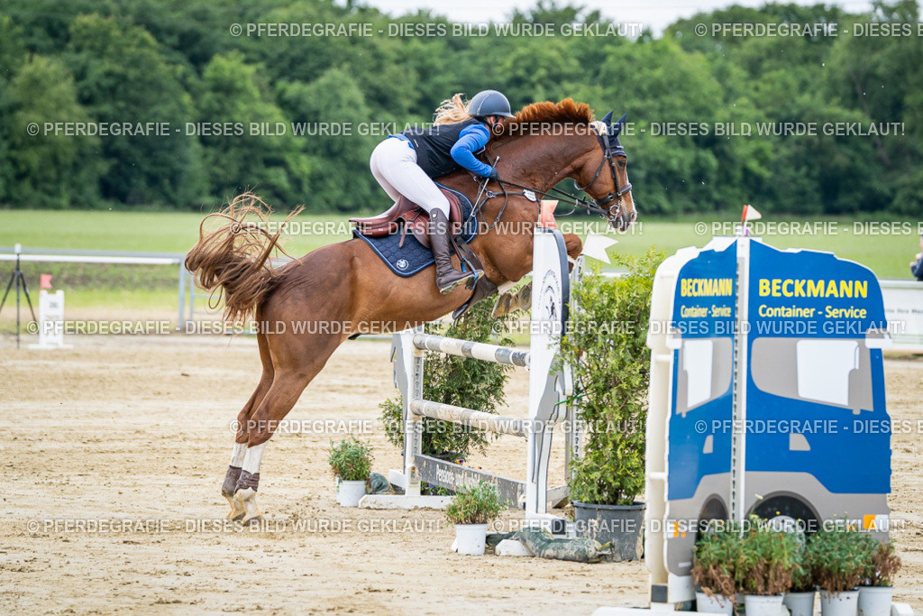 DSC04406 | Pferdegrafie