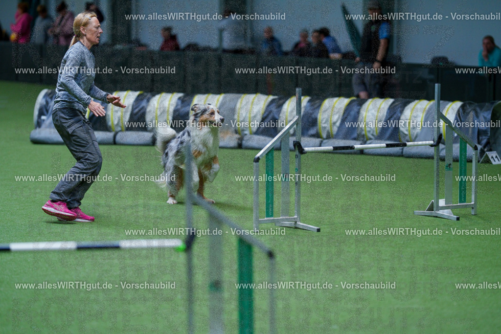 @allesWIRTHgut_Tierfotografie - www.allesWIRTHgut.de - 2604251047-7R500152 | Professionelle Tierfotografie in Mönchengladbach von Daniel Wirth (allesWIRTHgut). Liebevolle & natürliche Bilder von Hunden & Katzen für unvergessliche Erinnerungen.