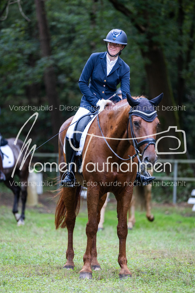 HB-A-Dressur-061 | MomenTaufnahmen Pferdesportfotos