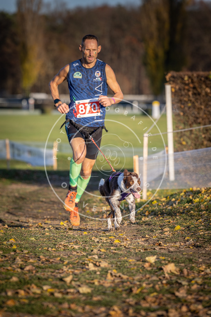 CaniXpix_DV3A4175 | Hundefotografie, Tierfotograf, Pfotenfotografie, Fotoshooting Hund, Hunde Portrait, Hundesport, Hundeportraits, Heideshooting, Hunde, Sportfotograf, Hundefotograf, Turnierhundsport, THS,  - Realisiert mit Pictrs.com