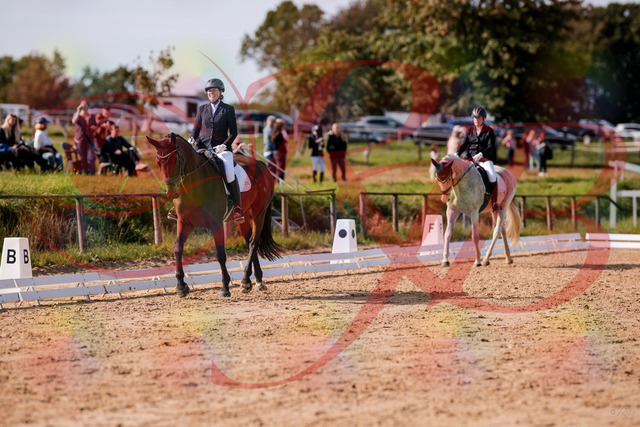 2026_10_03_Siefer-Hof_123006_Z81_28655006 | Professionelle Reitsport-, Turnier- und Eventfotografie von Robert Broda. Galerien mit ausgewählten und bearbeiteten Bildern direkt online ansehen und bestellen.
