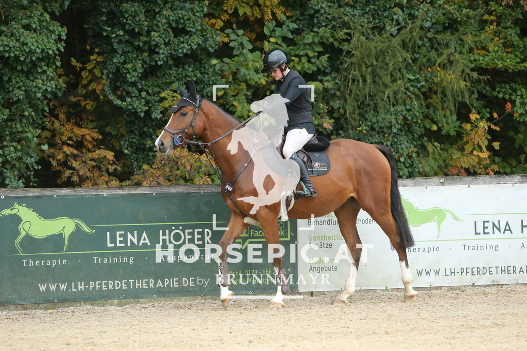 DL2Q4119 | Willkommen bei Brunnmayr - Design & Fotografie – Ihrem Spezialisten für Reitturniere und Pferdeveranstaltungen in Oberösterreich, Salzburg und Bayern! Seit über 17 Jahren sind wir leidenschaftlich dabei.