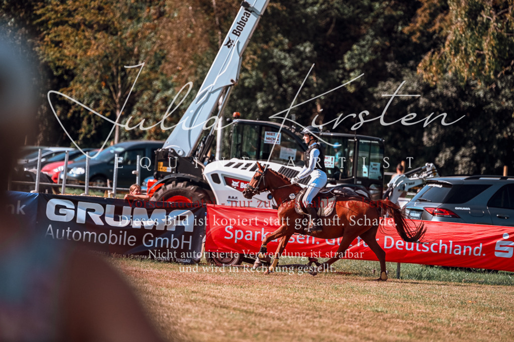 DSC_0865 | Pferde- und Turnierfotografie in Westsachsen. Pferdeportraits, Auftragszeichnungen und intuitive Kunst.