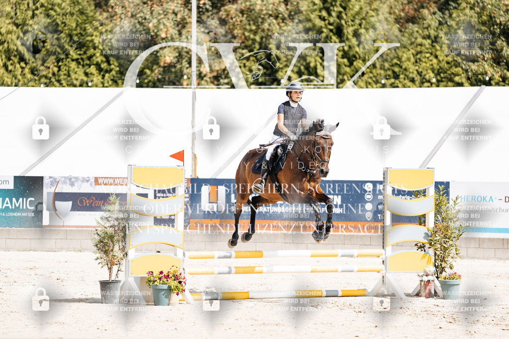 CK906242 | Turnierfotografie Pferdefotografie Trier Rheinland-Pfalz Pferdesport Reitsport Tierfotografie Sportfotografie Pferdevideo Pferdevideografie Equestrianvideography equestrianphotography  - Realisiert mit Pictrs.com