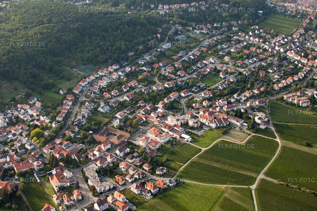 Luftbild: Lichtenbergersches Anwesen im Ortsteil Hambach an der Weinstraße in Neustadt im Bundesland Rheinland-Pfalz in Deutschland. Foto: IMG_33043.jpg vom 04.09.2010 durch Werner Riehm/FLY-FOTO.de