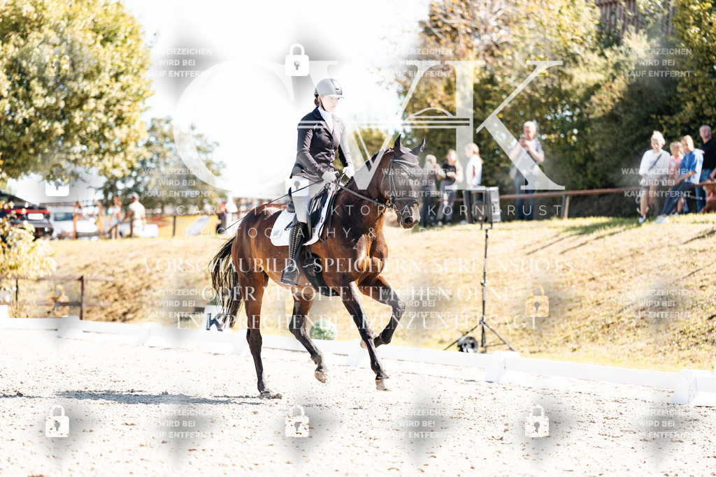 CK909762 | Turnierfotografie Pferdefotografie Trier Rheinland-Pfalz Pferdesport Reitsport Tierfotografie Sportfotografie Pferdevideo Pferdevideografie Equestrianvideography equestrianphotography  - Realisiert mit Pictrs.com