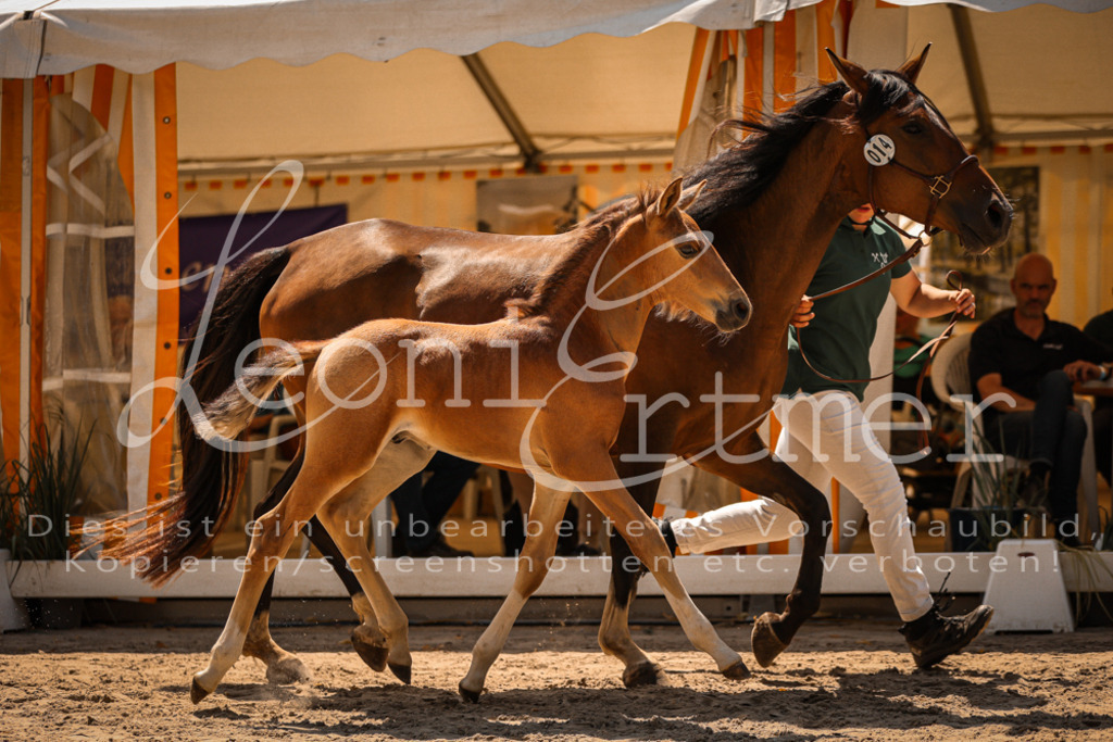 03.DoAB00032 | Leoni Ertmer Photography - Realisiert mit Pictrs.com