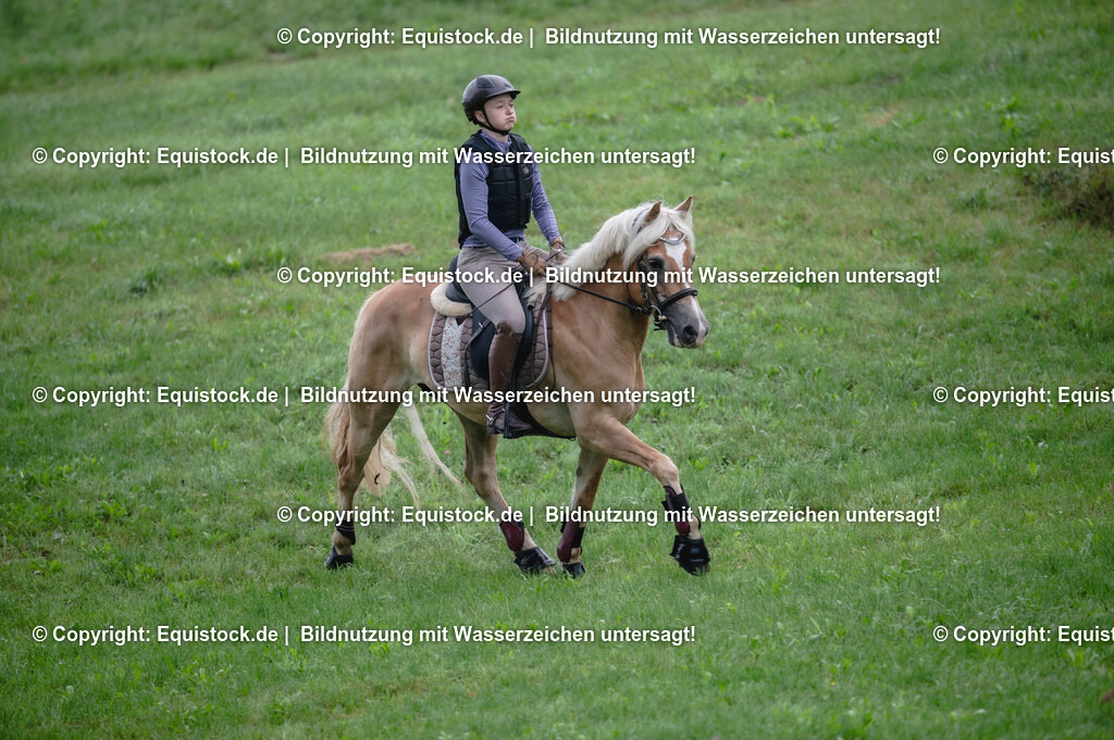 20250726_Vielseitigkeitslehrgang-Marbach_0078 | Foto: Thomas Hartig