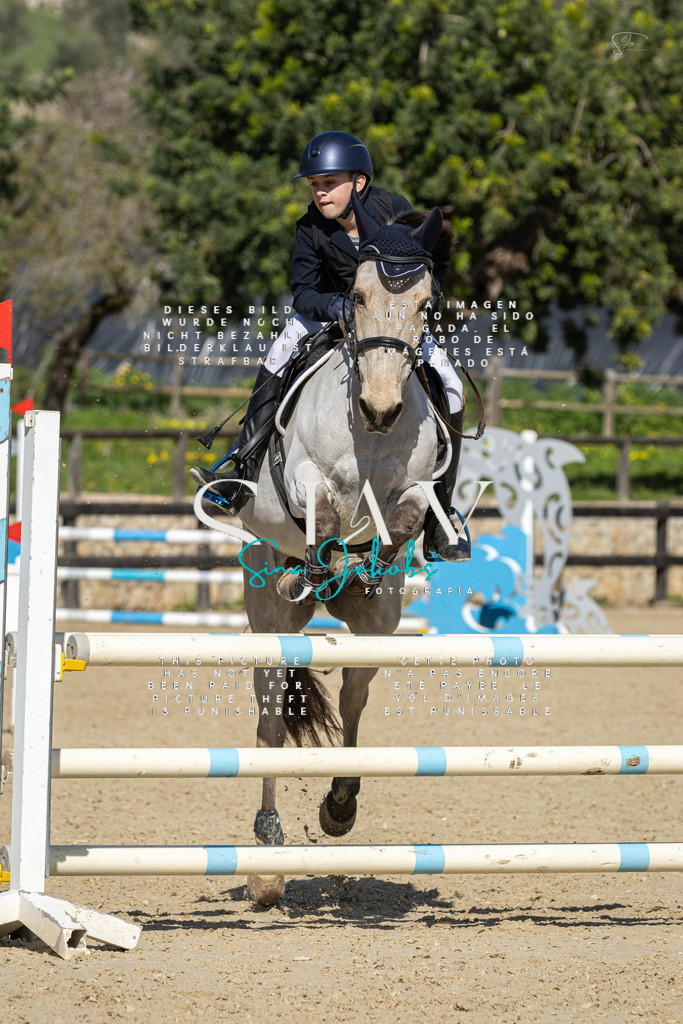 IMG_6465 | s-jay-photography - Realisiert mit Pictrs.com