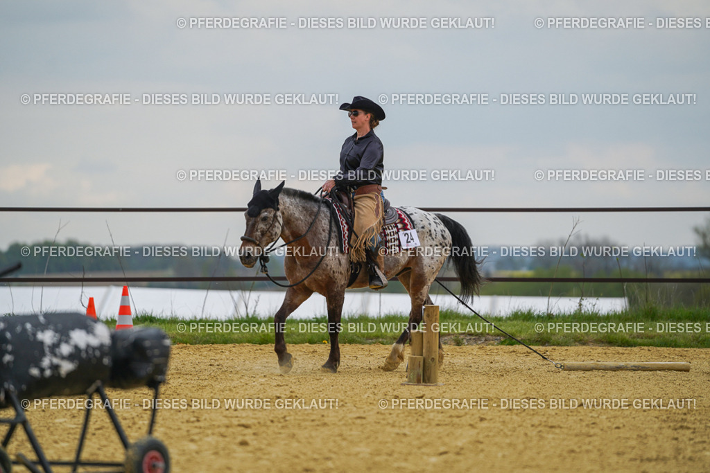 DSC07635 | Pferdegrafie