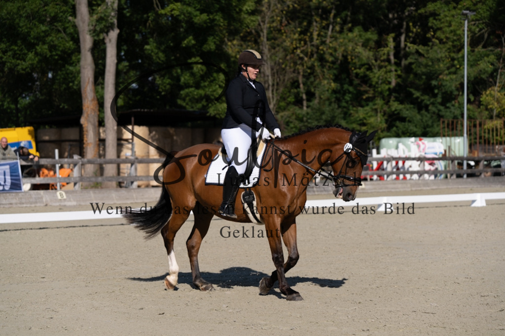 A7V06906 | Pferdefotograf