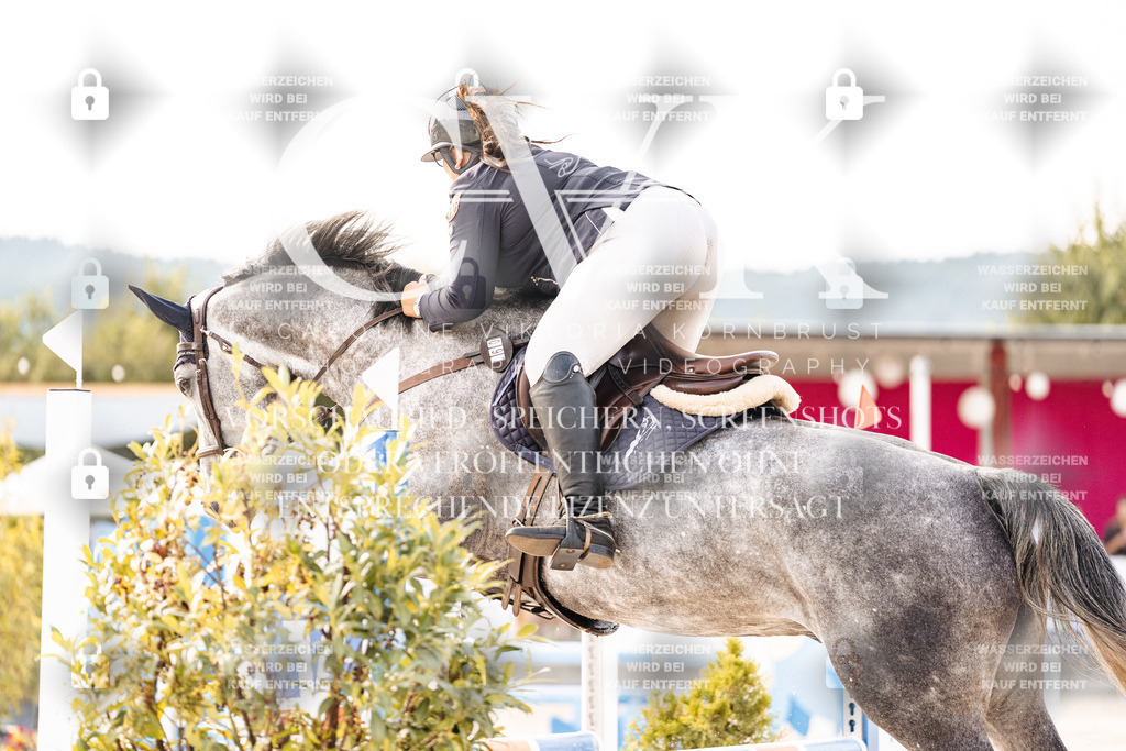 CK906240 | Turnierfotografie Pferdefotografie Trier Rheinland-Pfalz Pferdesport Reitsport Tierfotografie Sportfotografie Pferdevideo Pferdevideografie Equestrianvideography equestrianphotography  - Realisiert mit Pictrs.com
