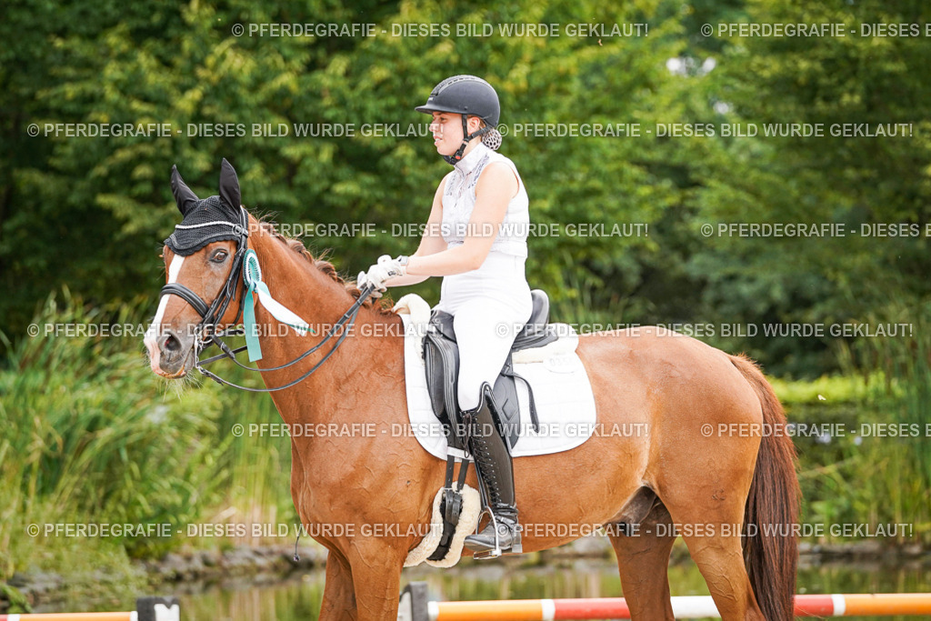 DSC08173 | Pferdegrafie