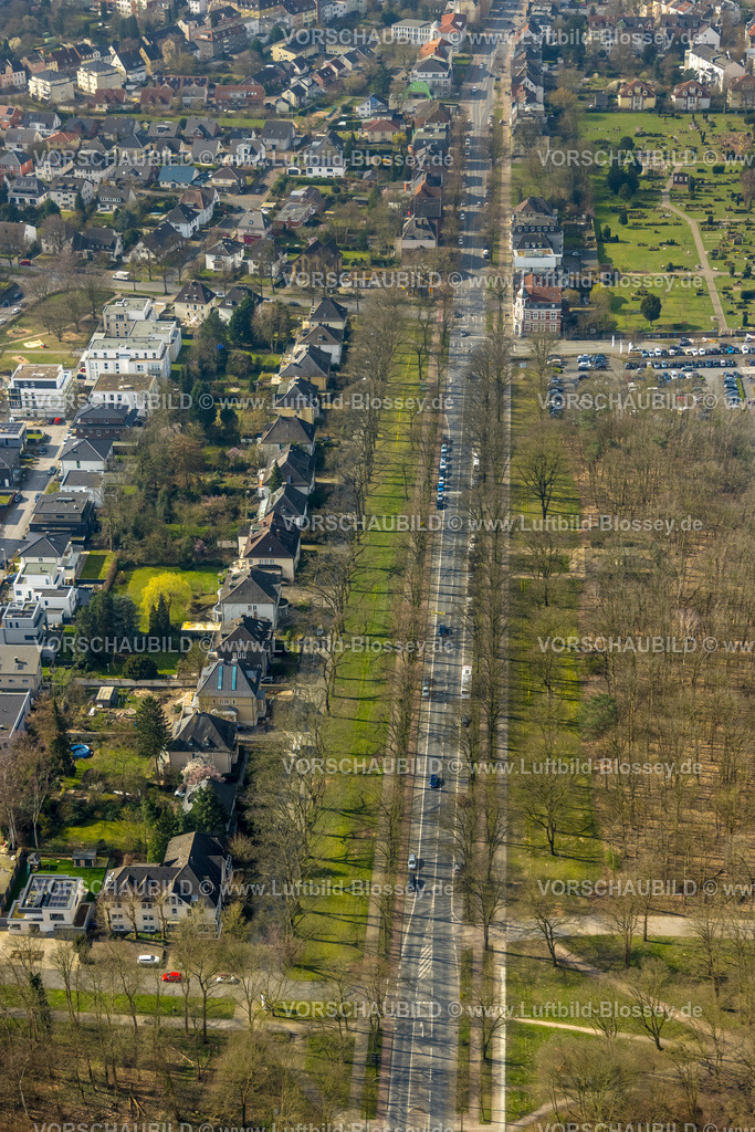 Hamm240306253 | Luftbild, Wohngebiet Reihenhäuser an der Ostenallee Straßenzug, Waldgebiet, Mitte, Hamm, Ruhrgebiet, Nordrhein-Westfalen, Deutschland