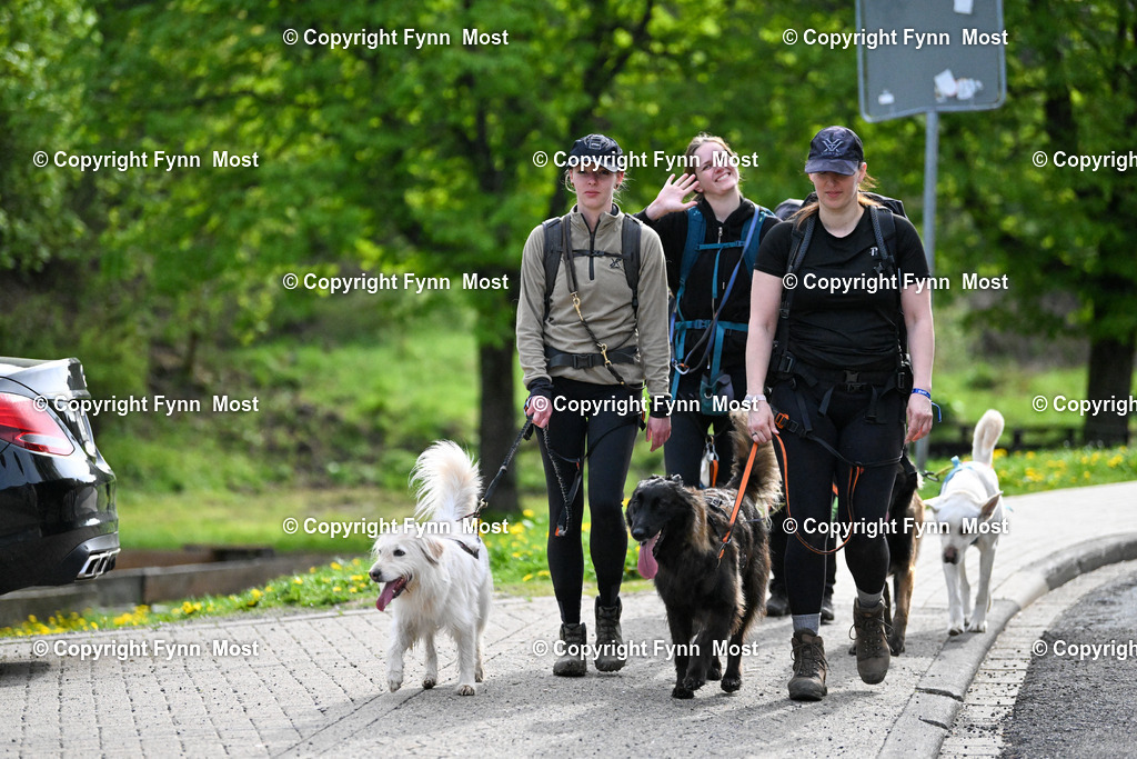 DSC_3613 | Hallo und herzlich Willkommen auf meiner Shop-Seite Fynn Most.

Ich wünsche Dir viel Spaß beim stöbern durch die Bilder, wenn Du Fragen hast oder Bilder vermisst, kannst du mir gerne eine Nachricht schreiben. - Realisiert mit Pictrs.com