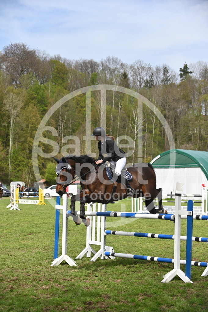 DSC_3885 | sattelsport - Realisiert mit Pictrs.com