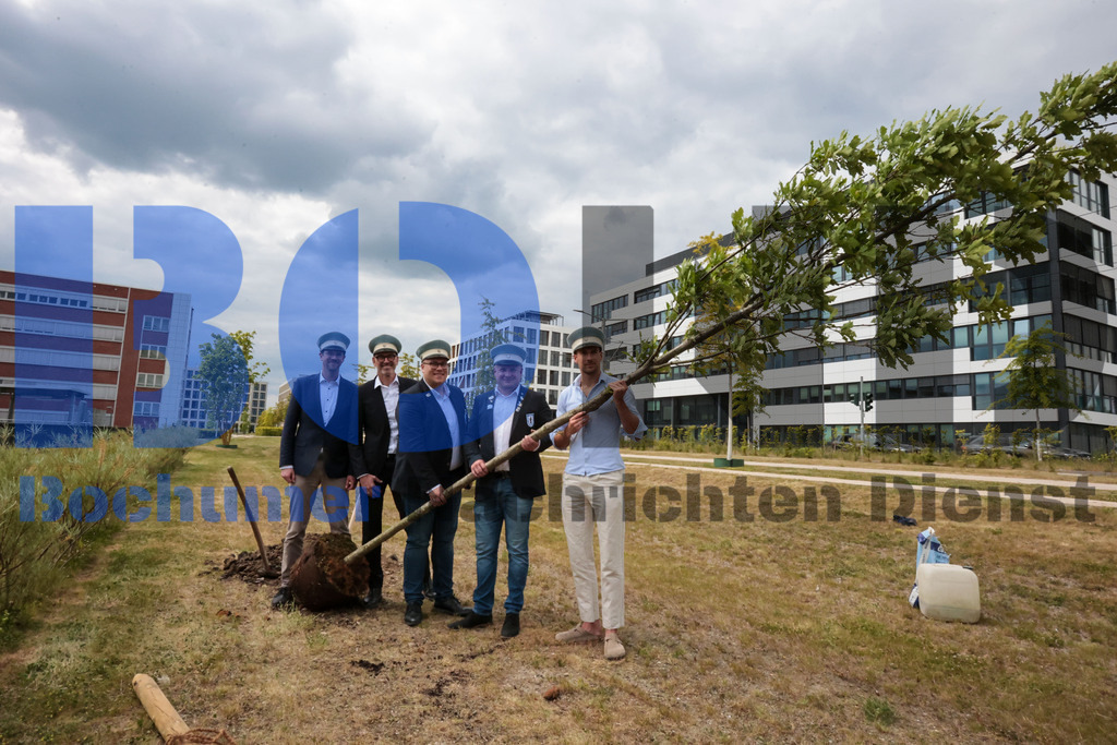 Eicheingrabung | Eicheingrabung - Realisiert mit Pictrs.com