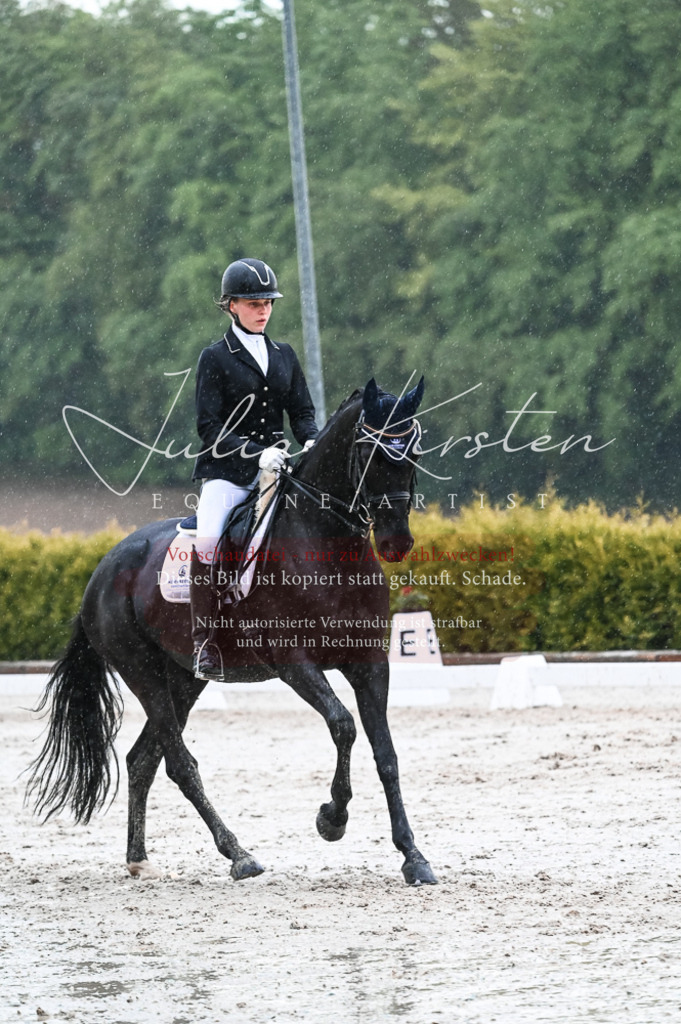 DSC_4747 | Pferde- und Turnierfotografie in Westsachsen. Pferdeportraits, Auftragszeichnungen und intuitive Kunst.
