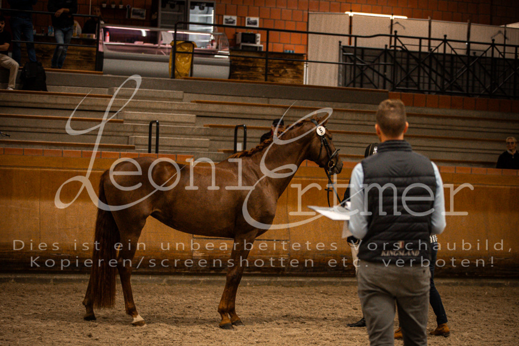 1Schritt00021 | Leoni Ertmer Photography - Realisiert mit Pictrs.com