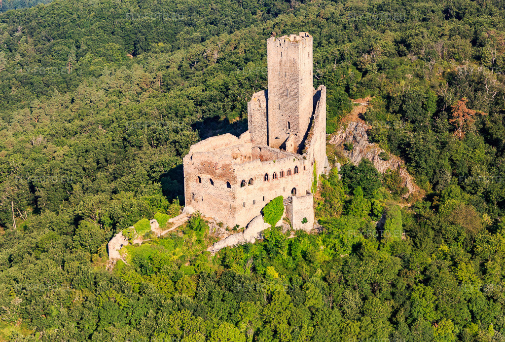 Vue aérienne: Château de l'Ortenbourg à Scherwiller dans le département Bas Rhin, France – .Photo: IMG_093280.jpg prise le 16/08/2016 par Werner Riehm/FLY-FOTO.eu – Résolution de l'original: 5145 x 3481 px – Château de l'Ortenbourg - Visitgrandest