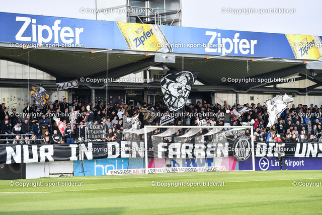 AUT, Admiral Bundesliga, LASK Linz vs SCR Altach | 23.04.2022, Raiffeisen Arena Pasching, AUT, Admiral Bundesliga, LASK Linz vs SCR Altach, im Bild Fans - Zuschauer Lask Linz (Lask)


// Admiral Bundesliga Match between LASK Linz and SCR Altach in Pasching, Austria on 2022/04/23
