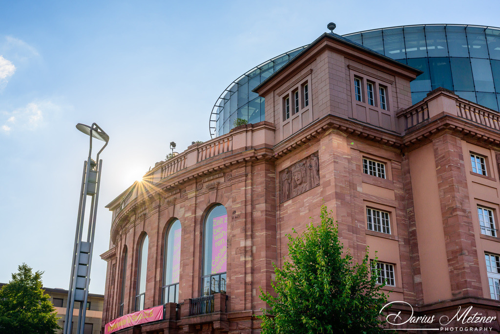 DSC_4609 2 | Fotografien, Fotos und Bilder aus Mainz, Frankfurt, Wiesbaden und anderen Orten auf der Welt - Fotografiert von Darius Metzner