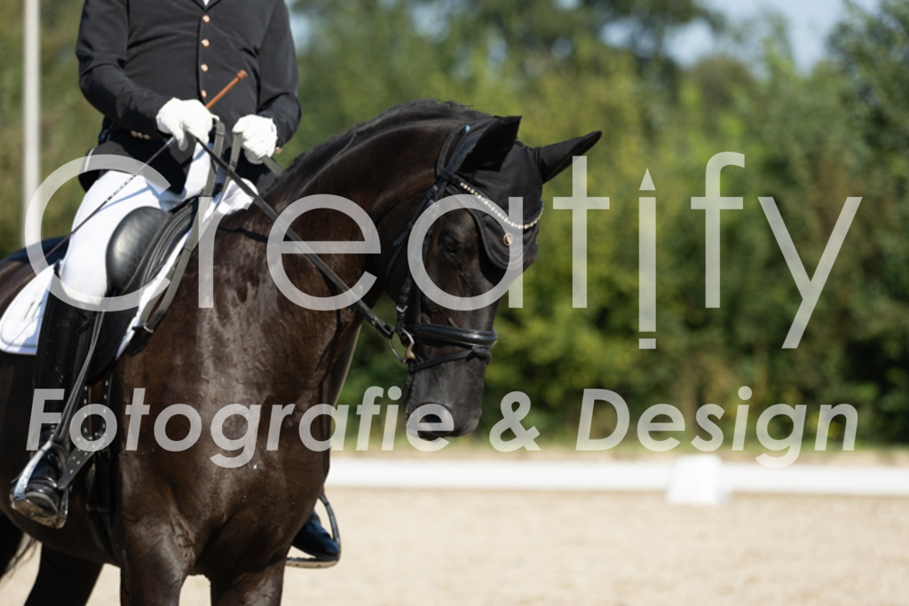 IMG_5598 | Creatify Fotografie