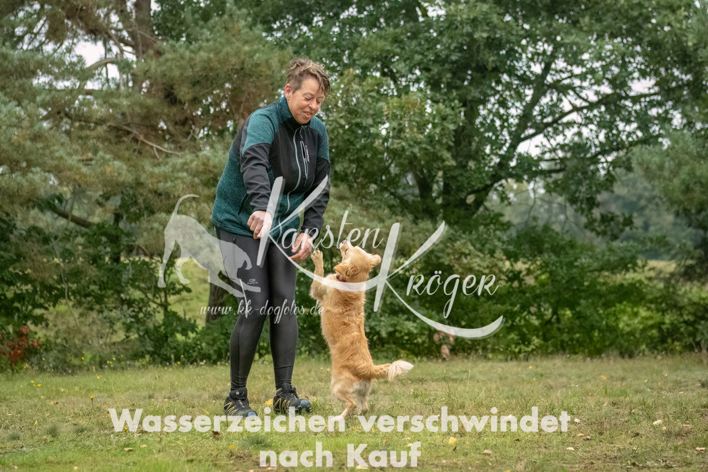 1025_ZZ92127-Bearbeitet | kk-dogfotos