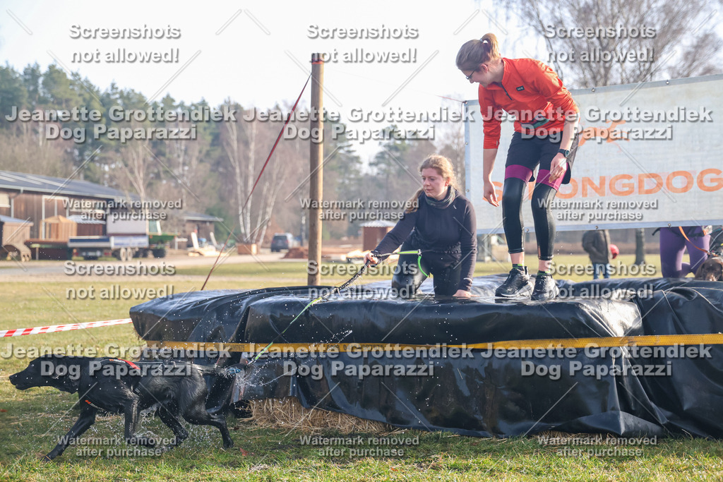 Dog Paparazzi - Strongdog North Mrz26-22 | Dog Paparazzi Jeanette Grottendiek Fotografie & Videografie - Realisiert mit Pictrs.com